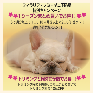 予防薬まとめ買いCP