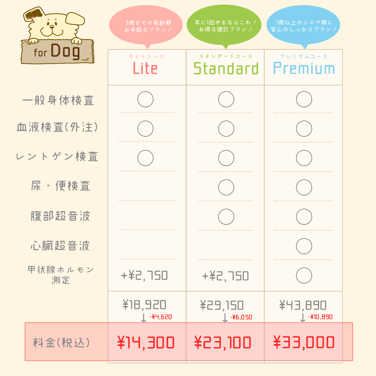 健康診断キャンペーンコース別料金案内 犬