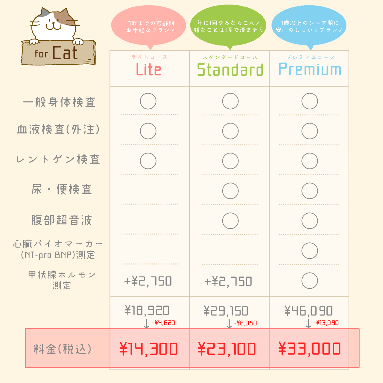 健康診断キャンペーンコース別料金案内 猫