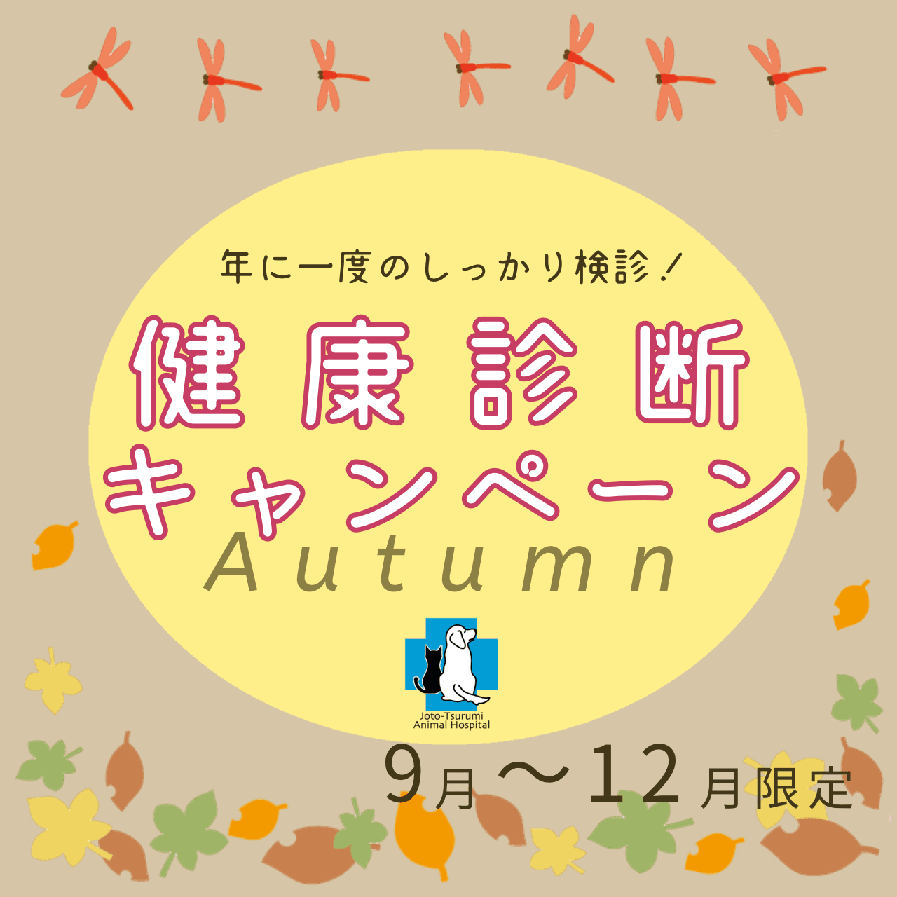 9月〜12月限定健康診断キャンペーン