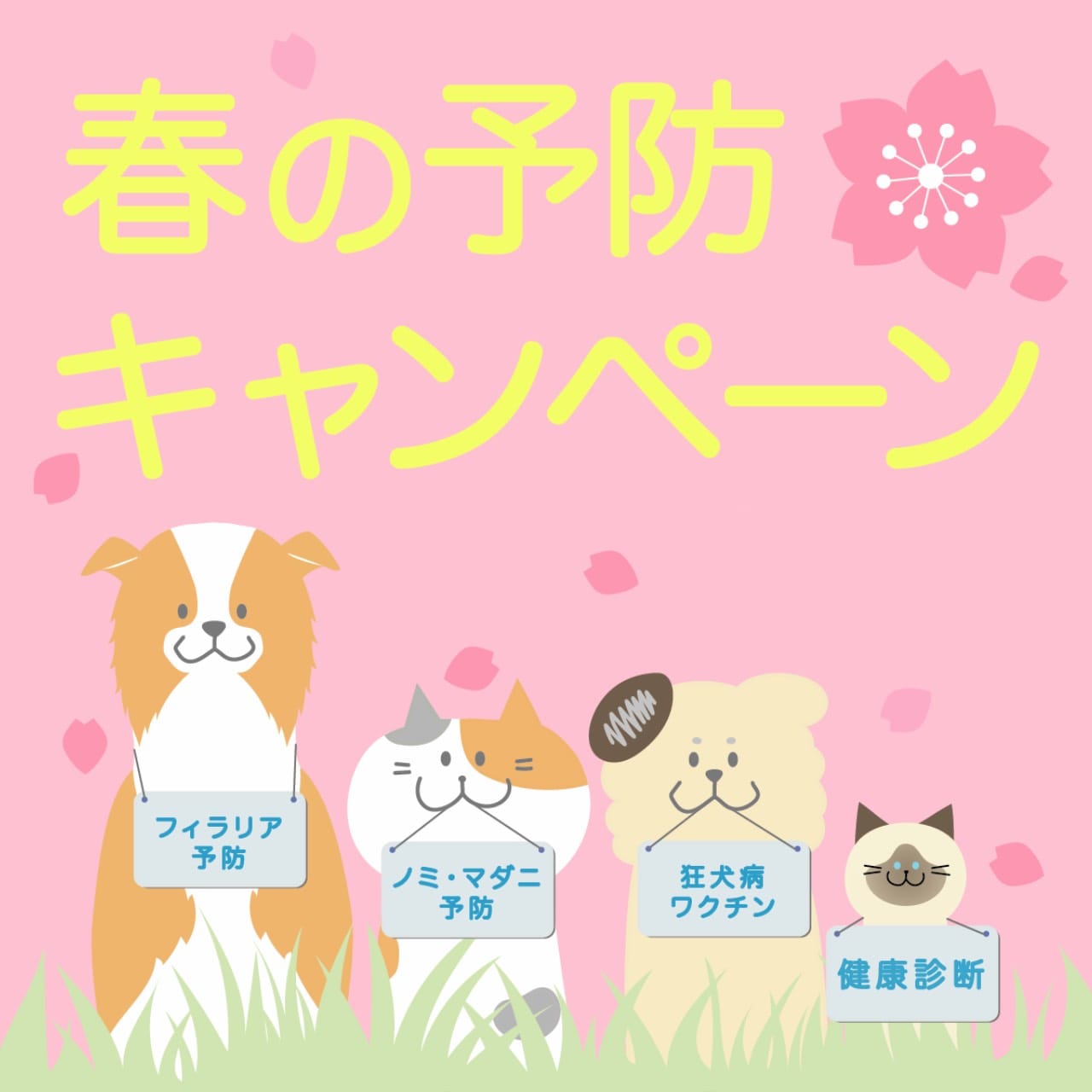2024年春の予防キャンペーンお知らせ
