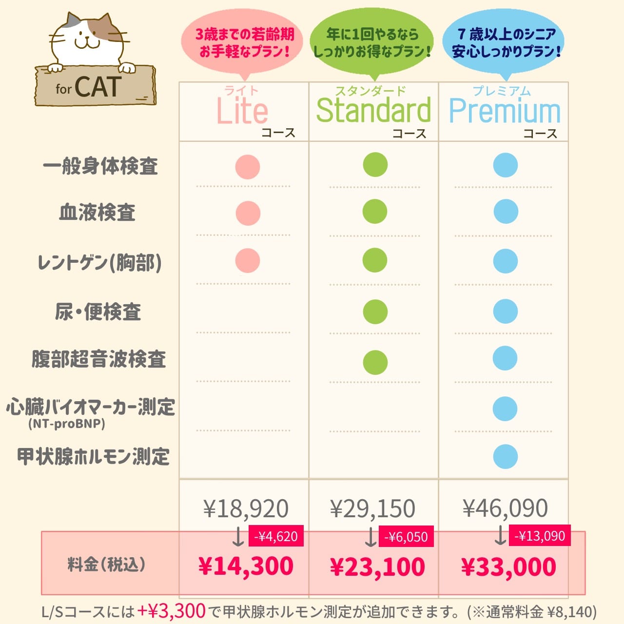 秋の健康診断キャンペーンコース別料金表 猫