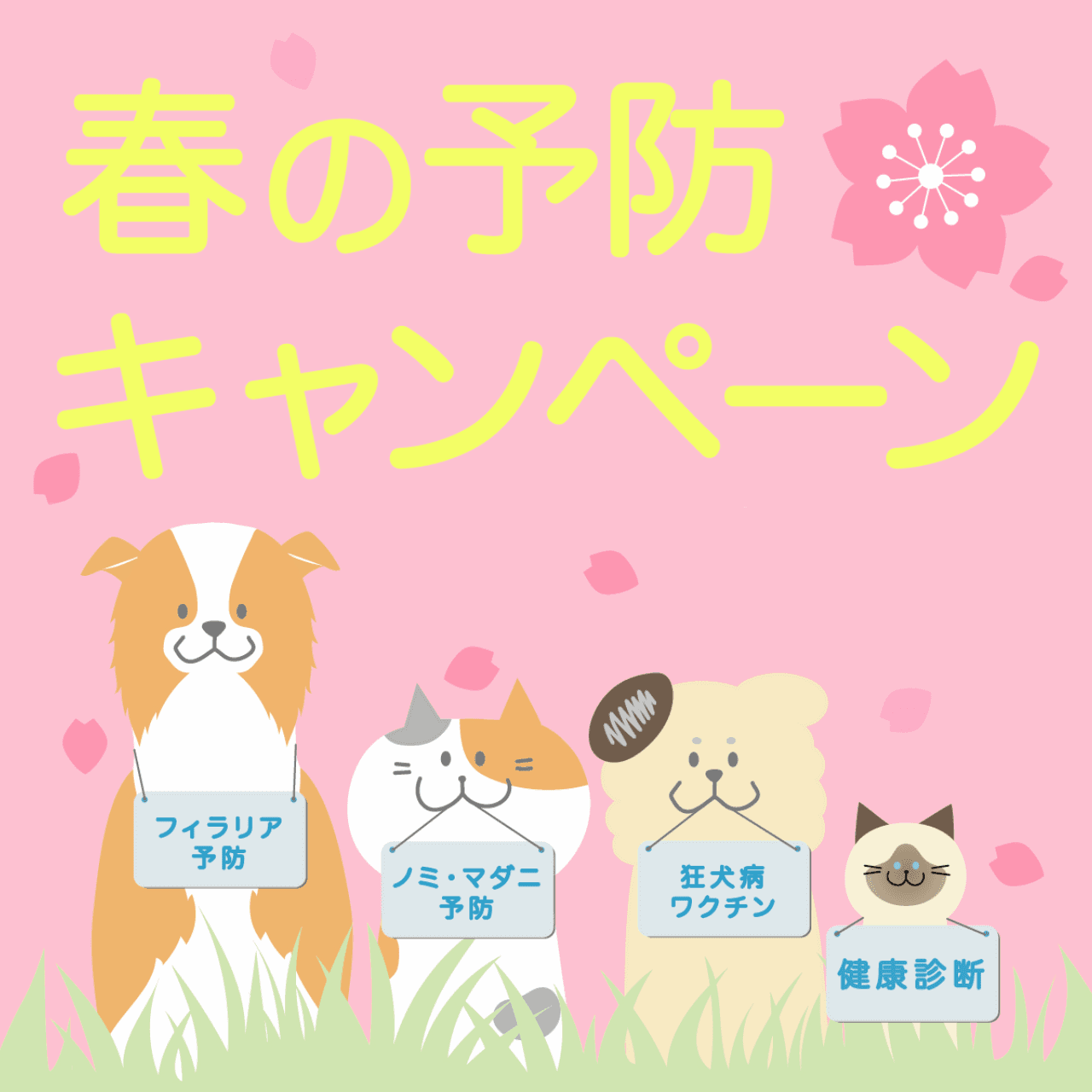 春の予防キャンペーン
