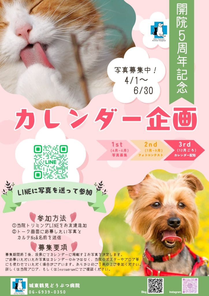 城東鶴見どうぶつ病院開院5周年記念カレンダー企画　4/1〜6/30写真募集中