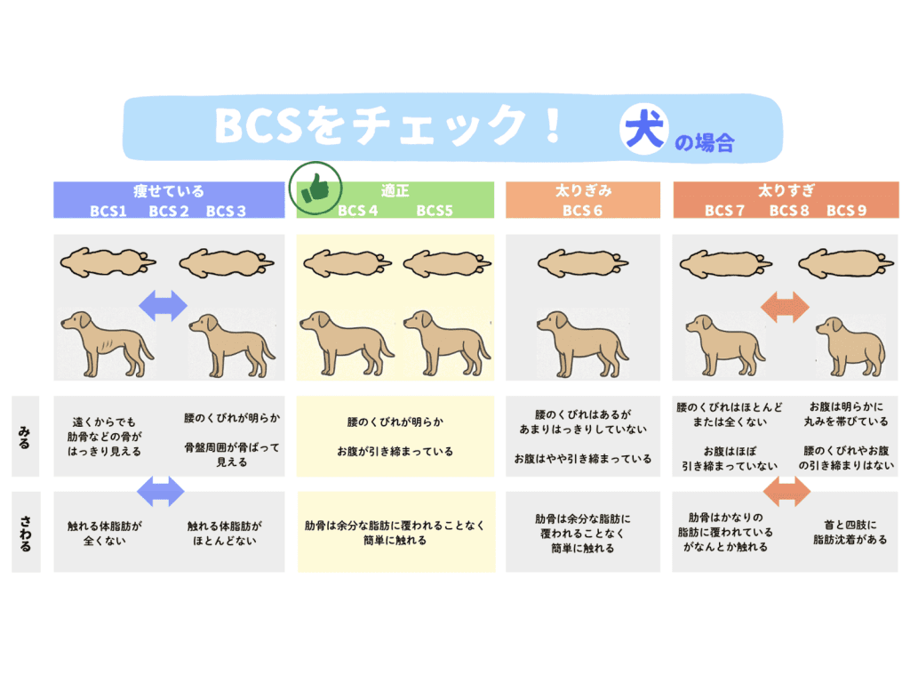 BCSをチェック！犬の場合