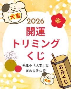トリミングくじ