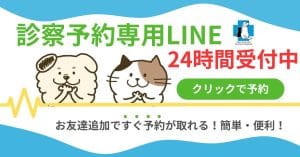 診療予約専用LINE 24時間受付中
