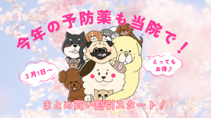 今年の予防薬も当院で!