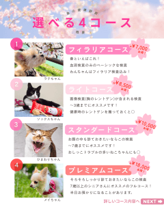 選べる4コース