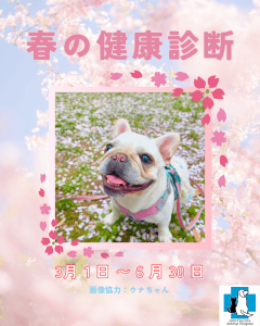 春の健康診断キャンペーン