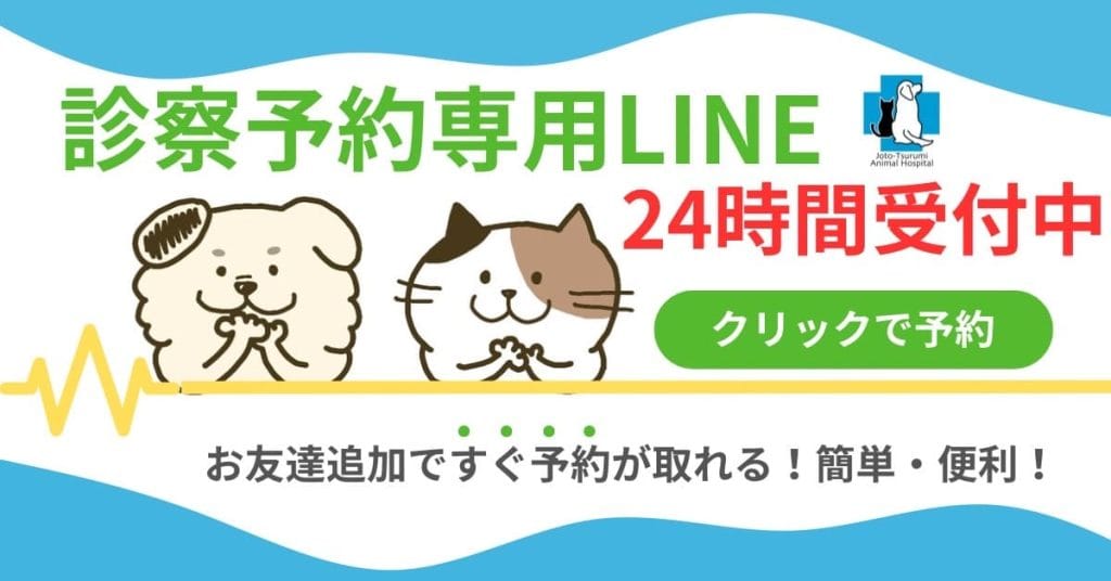 診療予約専用LINE24時間受付中