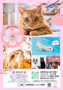 カレンダー写真大募集