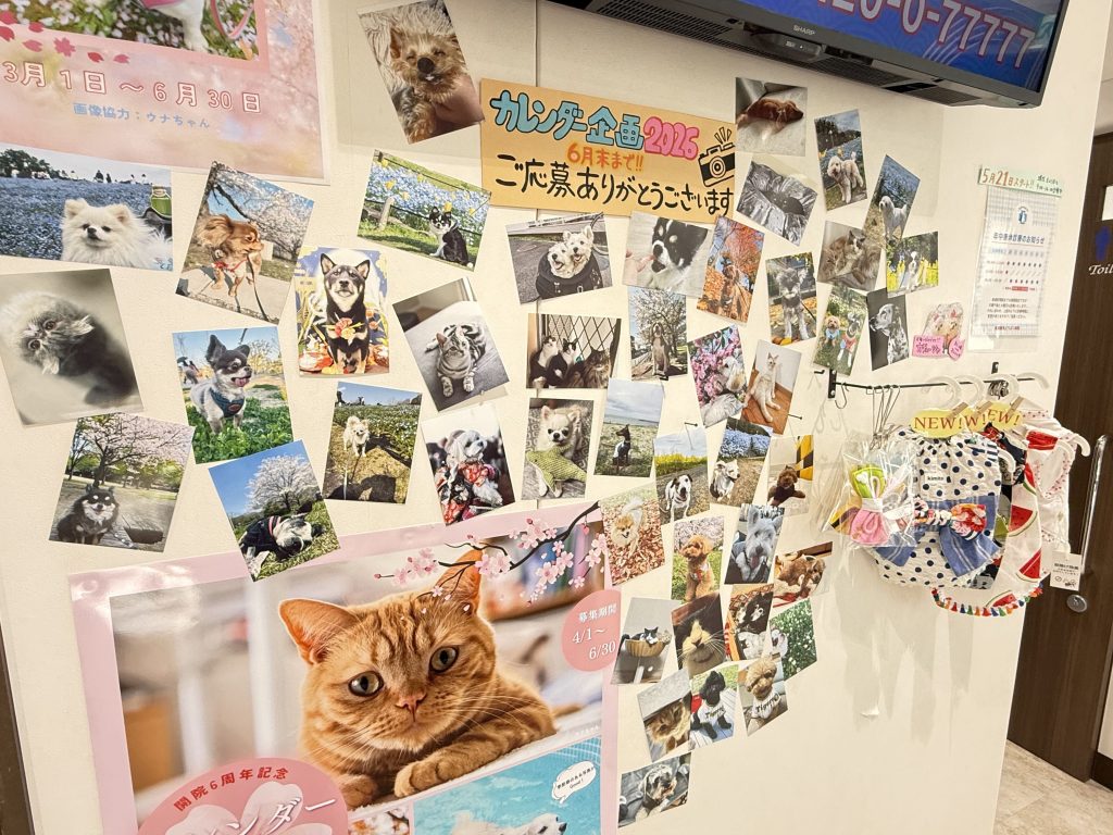 カレンダー企画の応募写真は院内でも掲示中