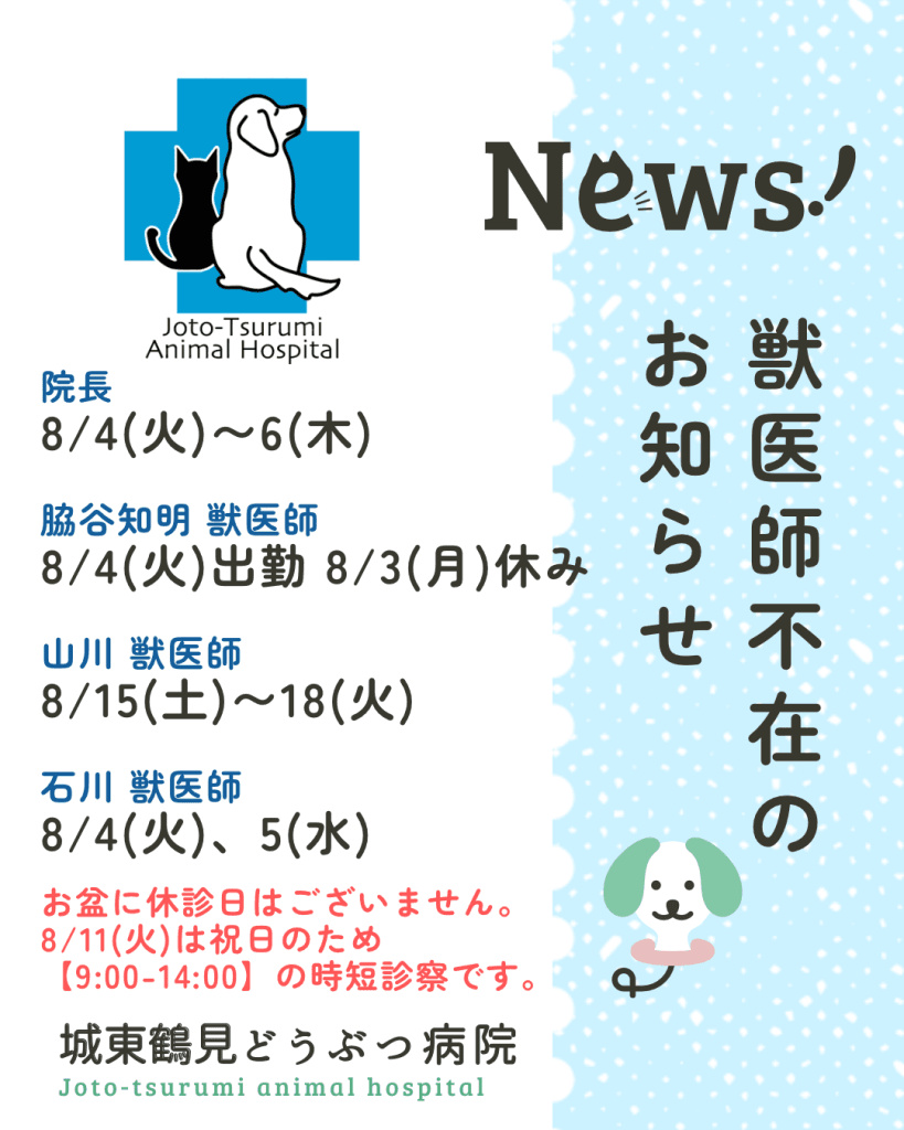 8月獣医休み