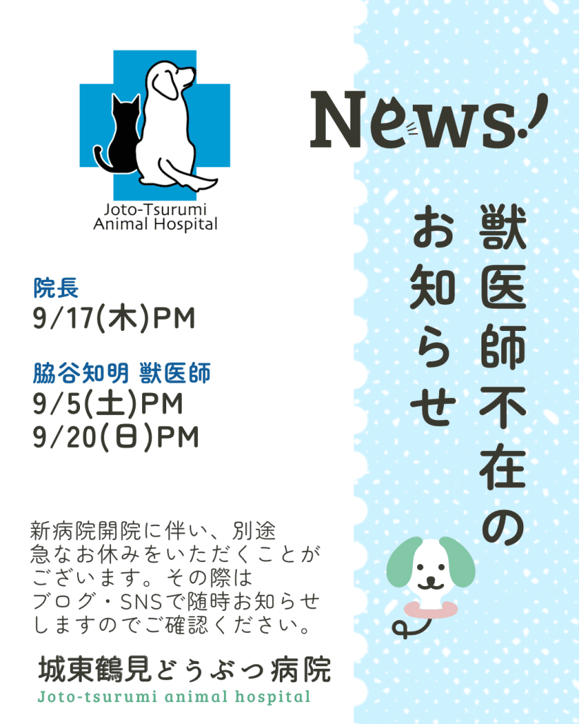 9月分獣医師不在のお知らせ