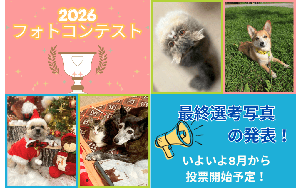 2026フォトコンテスト
最終選考写真の発表