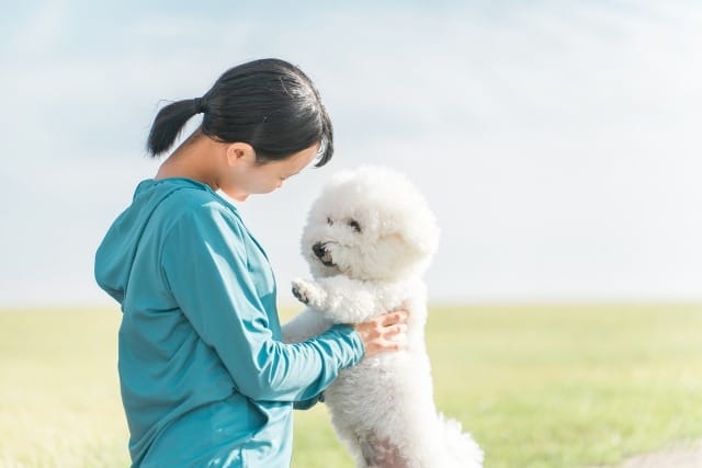 見つめ合う人と犬