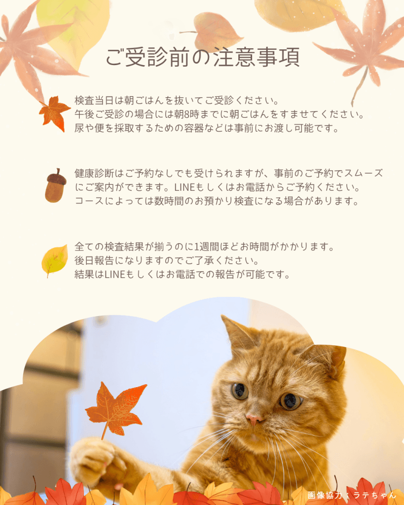 秋の健康診断　ご受診前の注意事項