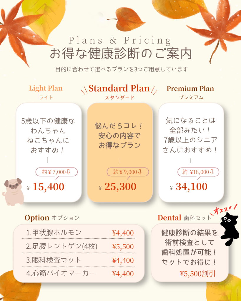 お得な健康診断のご案内　3つのプラン