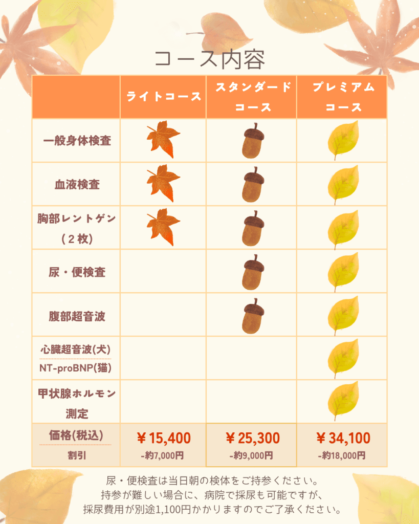 秋の健康診断3つのコース内容