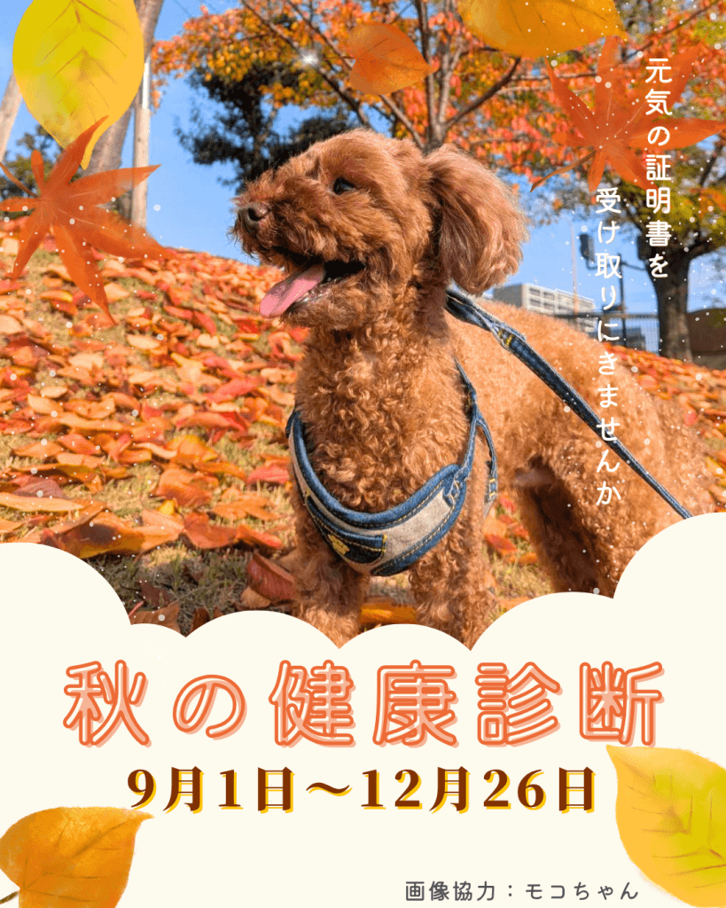 秋の健康診断　9月1日〜12月26日