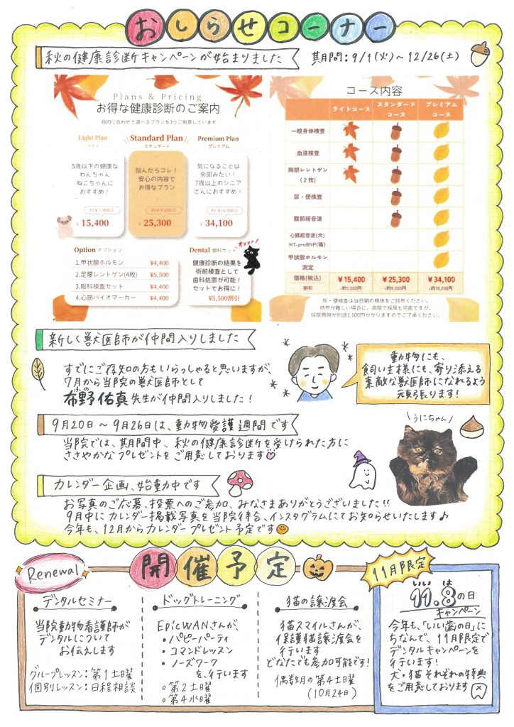 JTレターVol10-p2-2026.9.1発行