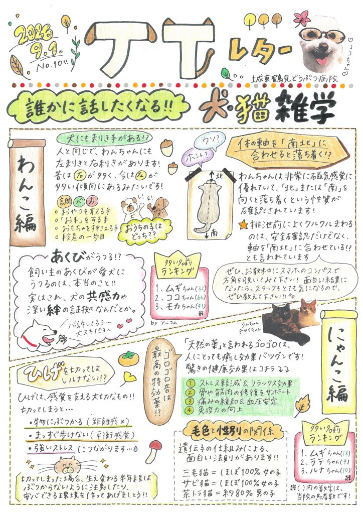 JTレターVol10-p1-2026.9.1発行