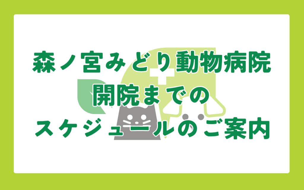 森ノ宮どうぶつ病院開院までのスケジュールのご案内